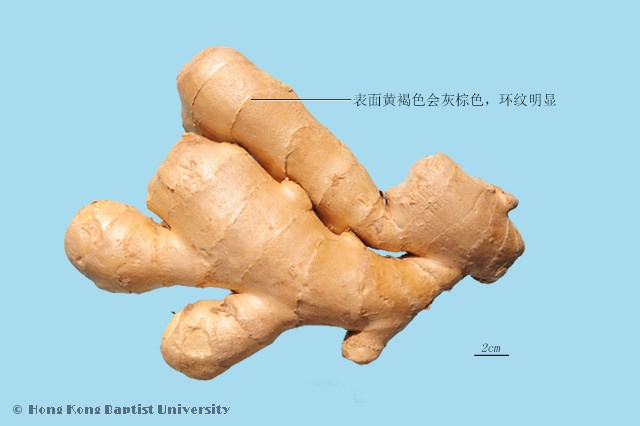 生姜