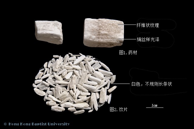 石膏