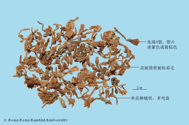 芫花