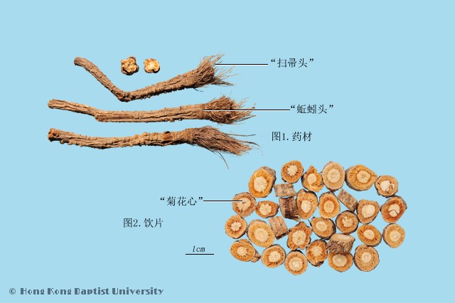 防风