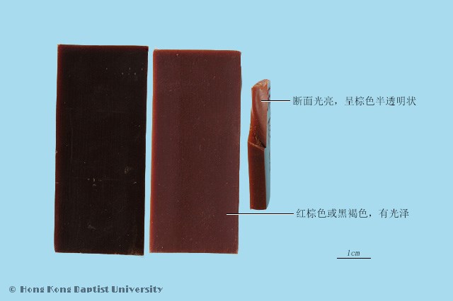 阿胶