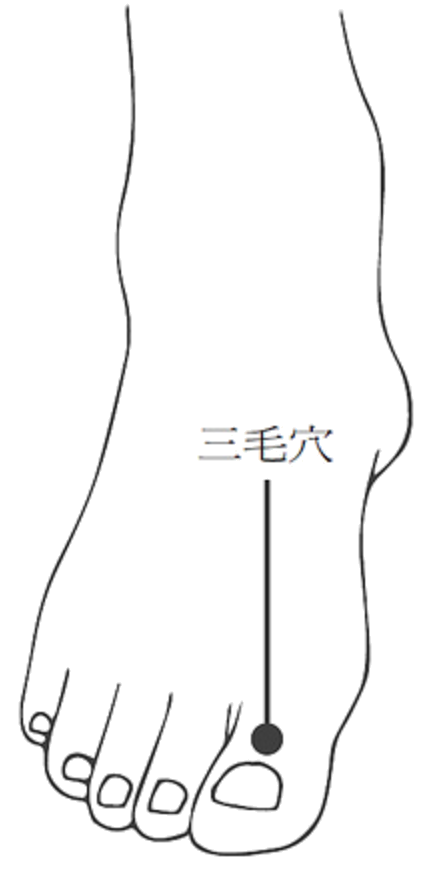 三毛·图示
