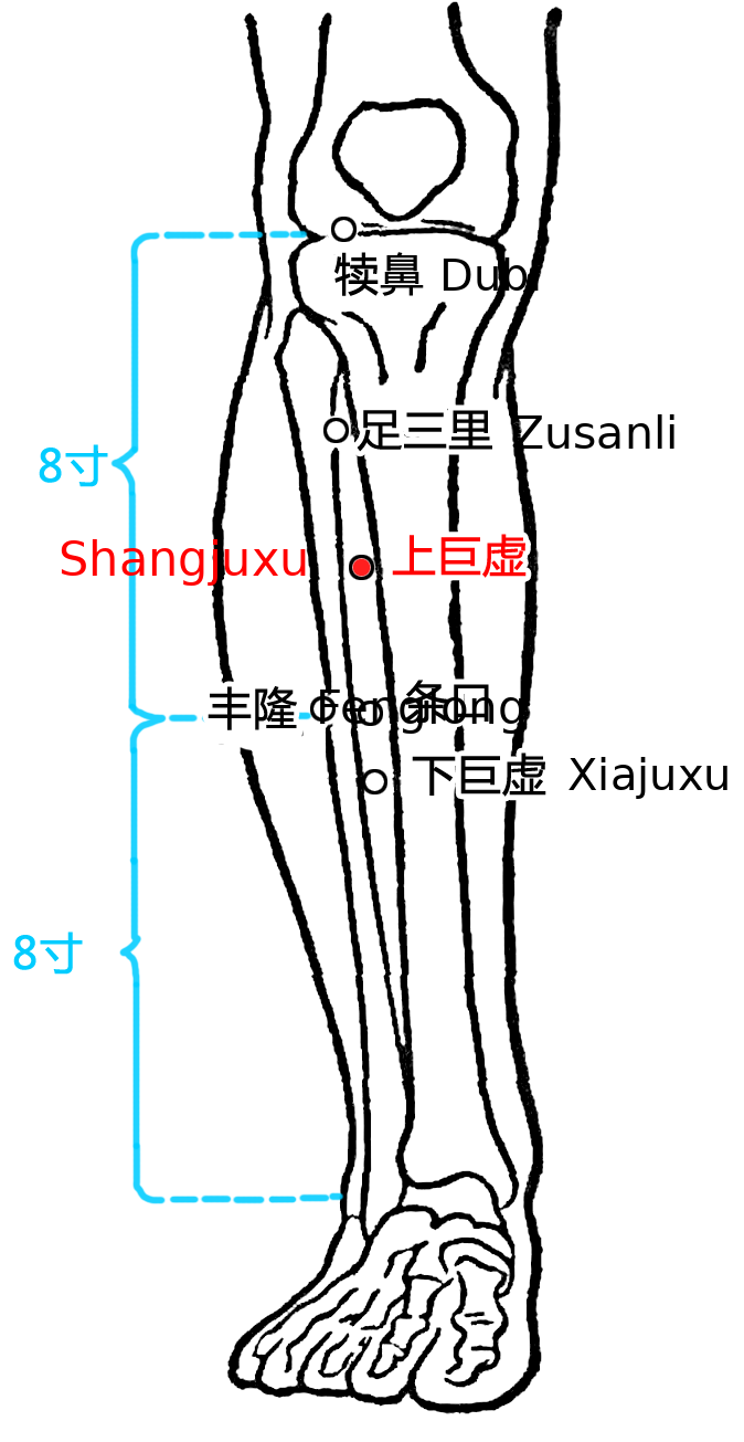 上巨虚·图示