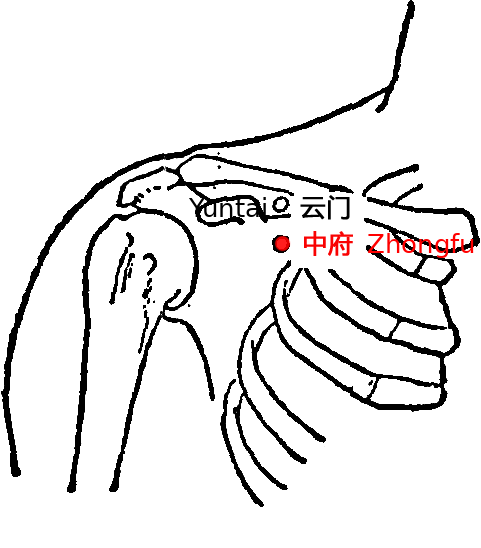 中府·图示
