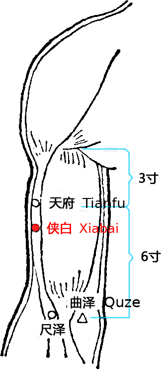侠白·图示
