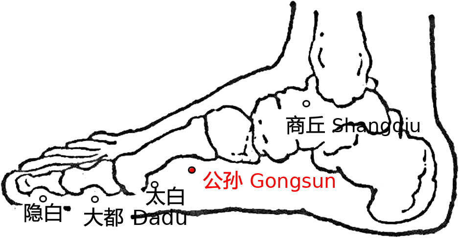 公孙·图示