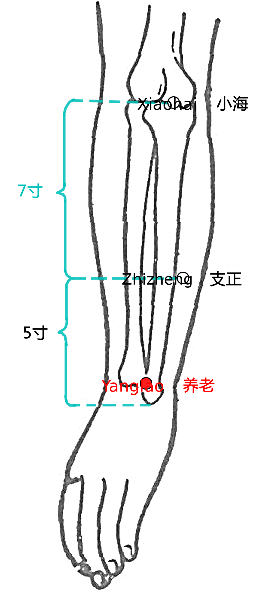 养老·图示