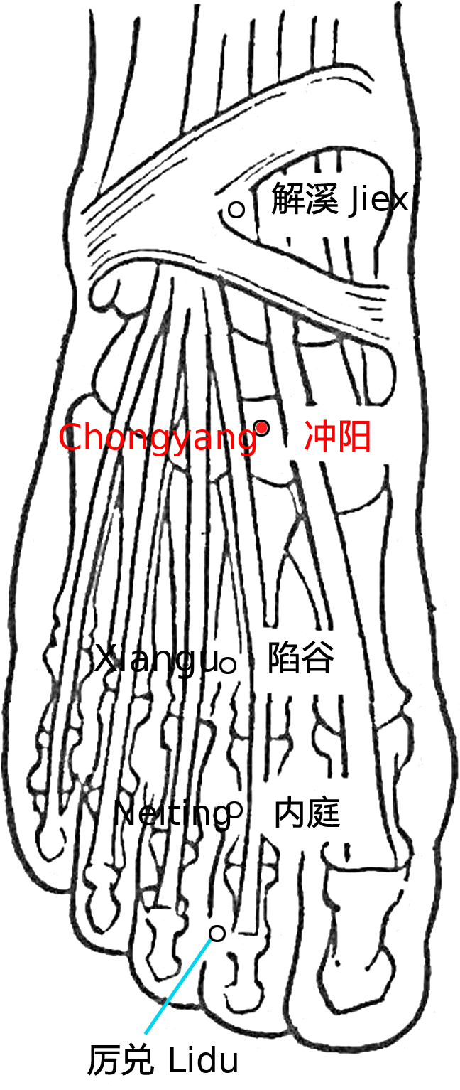 冲阳·图示