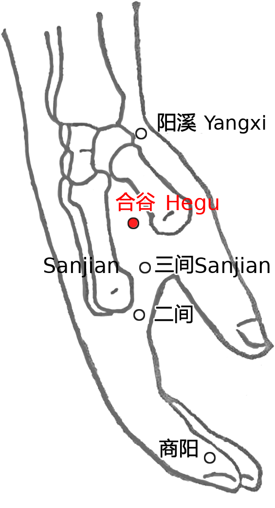 合谷·图示