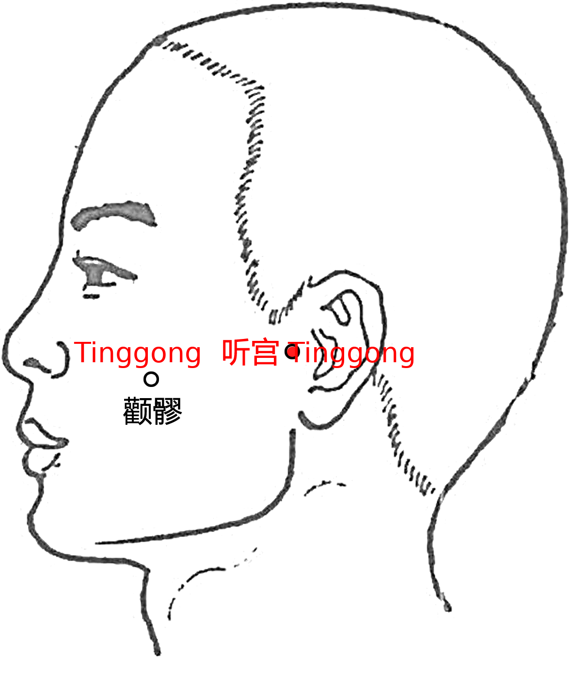 听宫·图示
