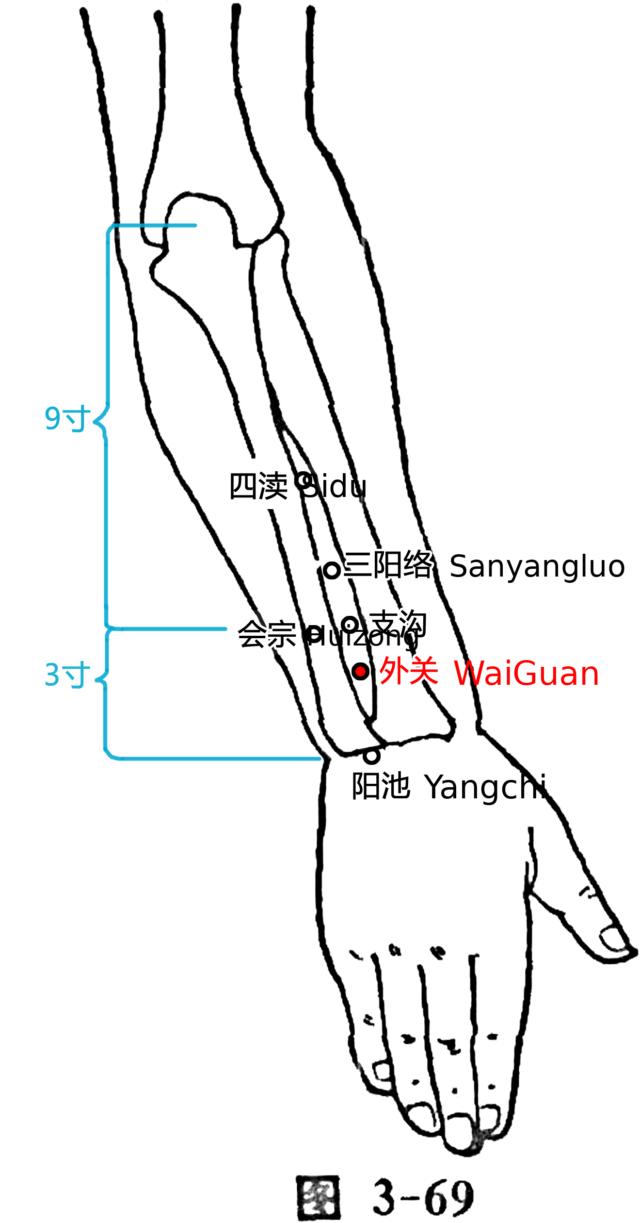 外关·图示