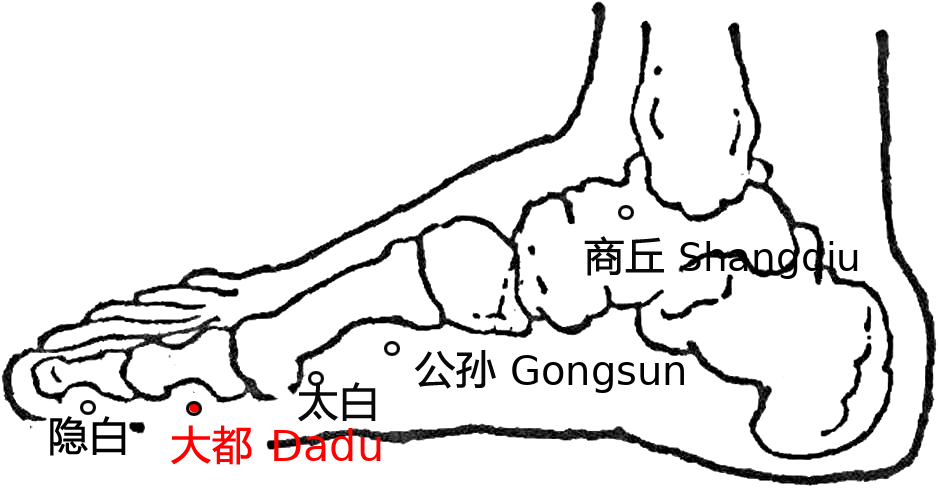 大都·图示