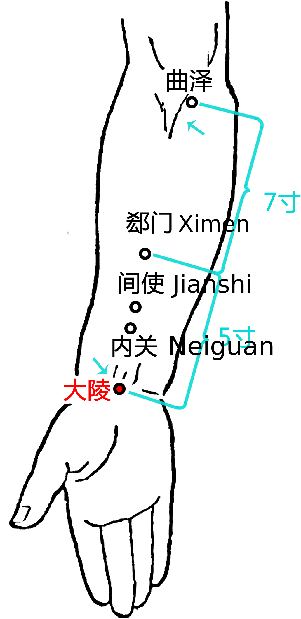 大陵·图示