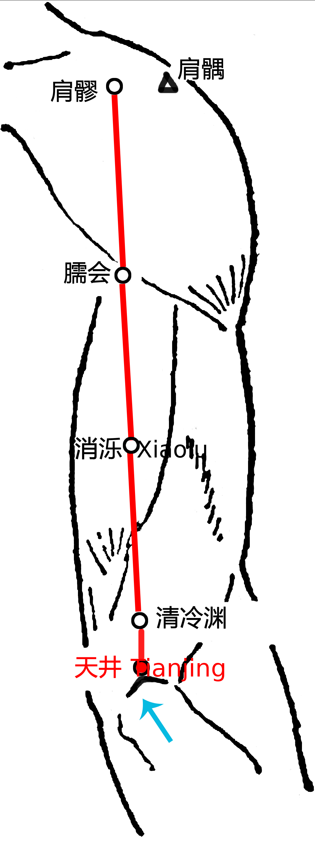 天井·图示