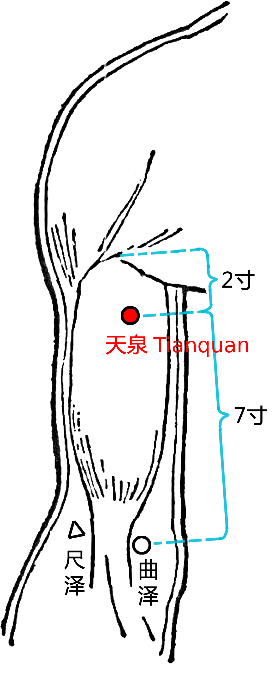 天泉·图示
