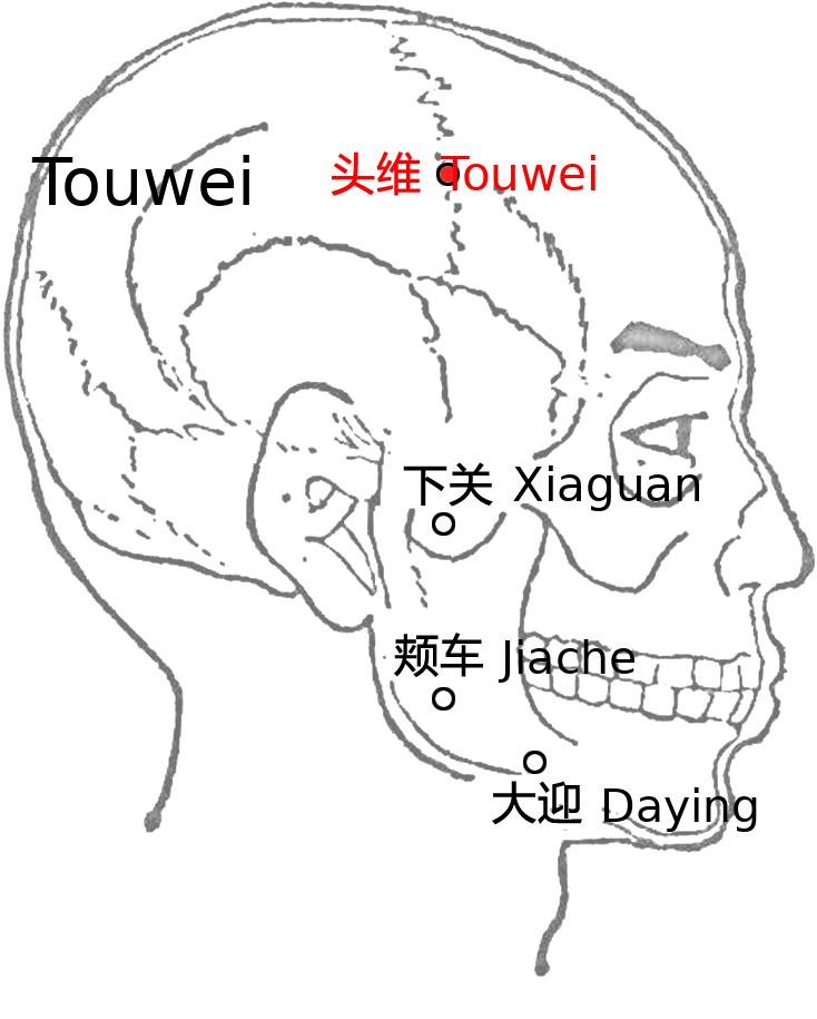 头维·图示
