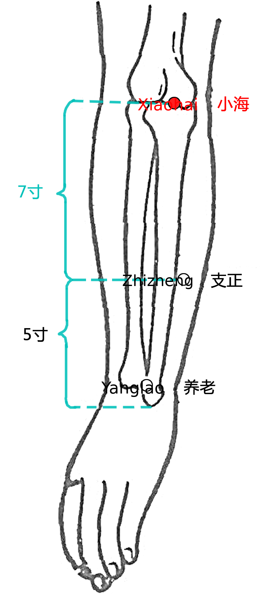 小海·图示