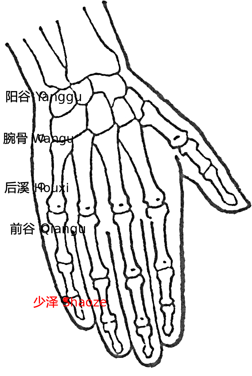 少泽·图示