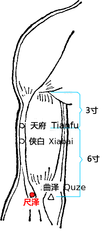 尺泽·图示