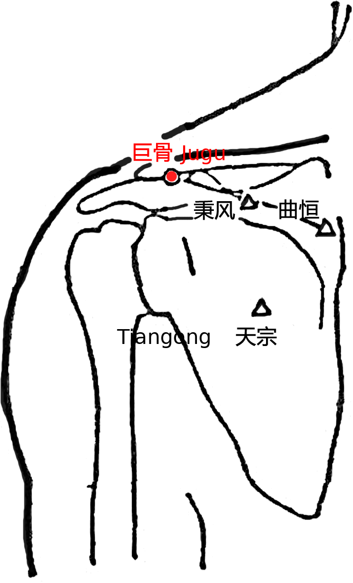 巨骨·图示