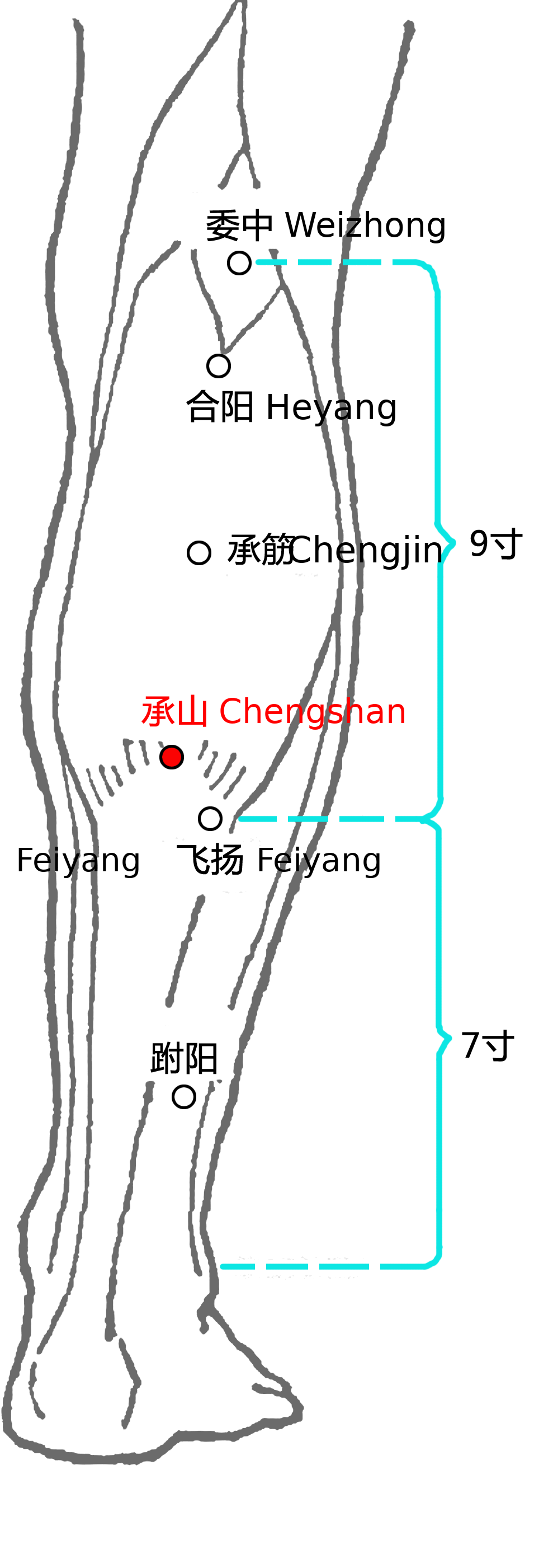 承山·图示