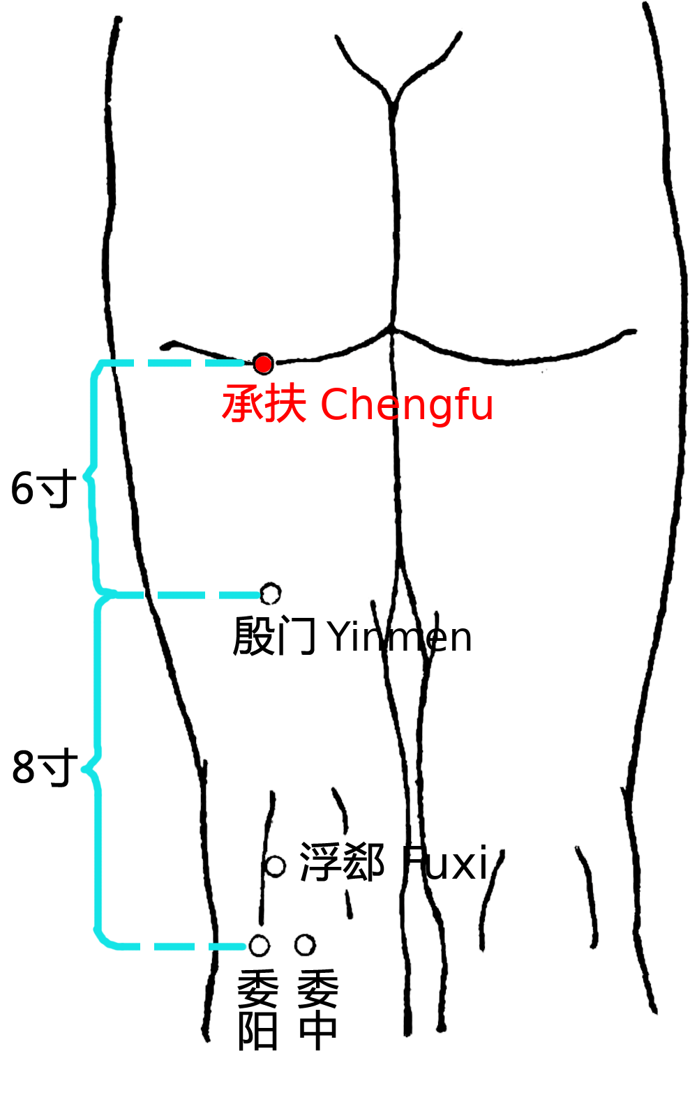 承扶·图示
