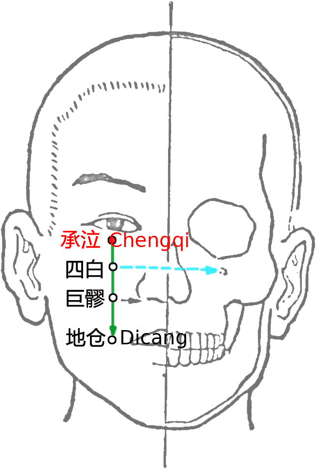 承泣·图示