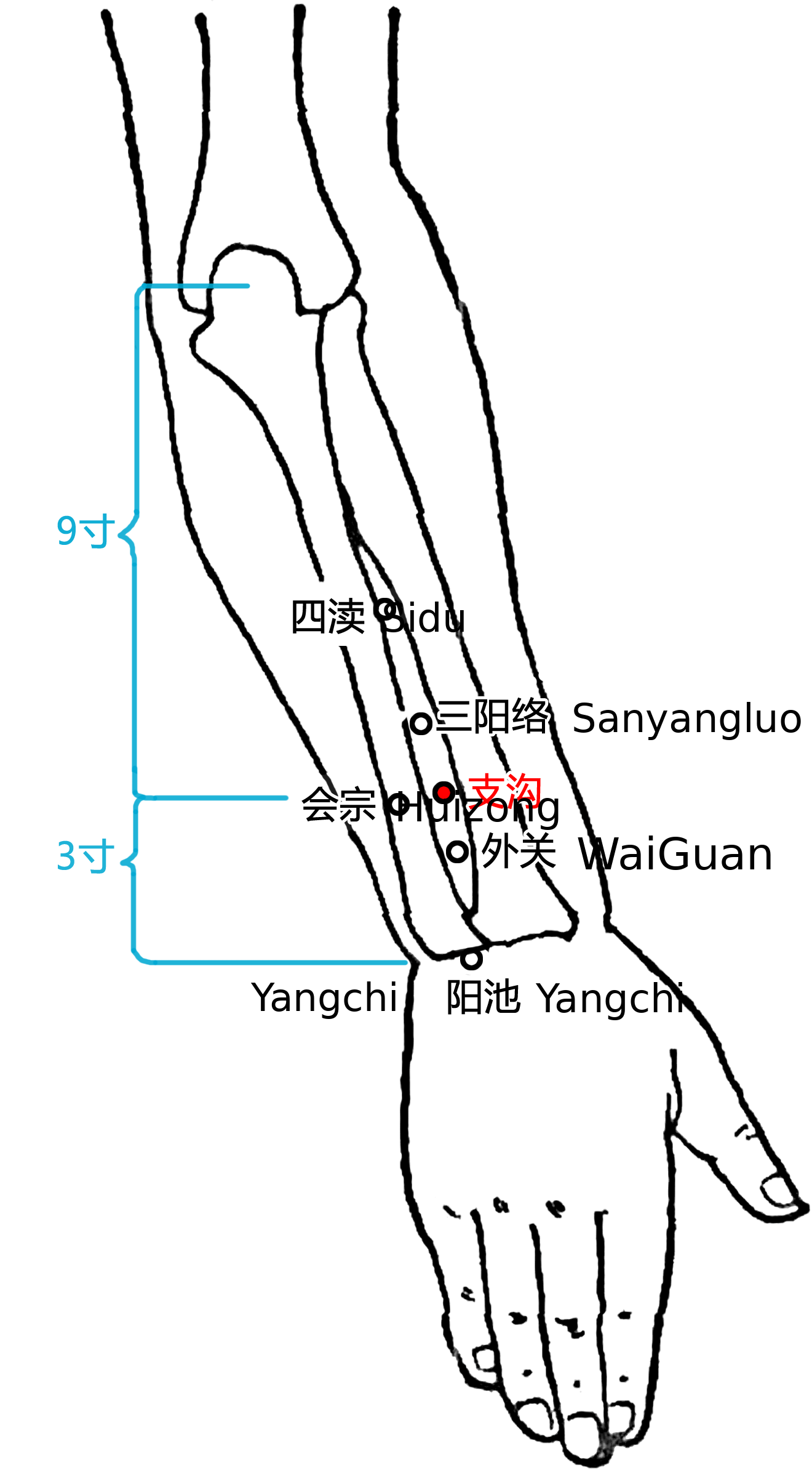 支沟·图示