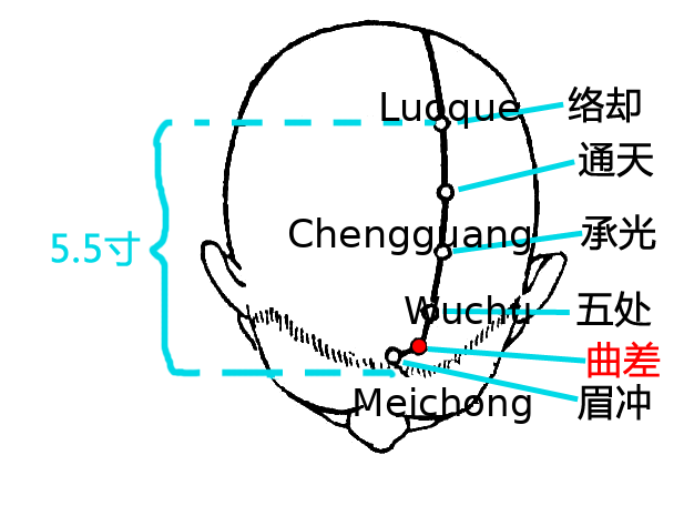 曲差·图示