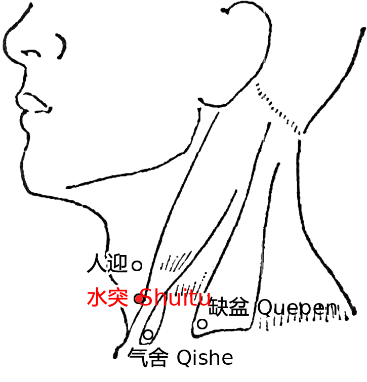 水突·图示