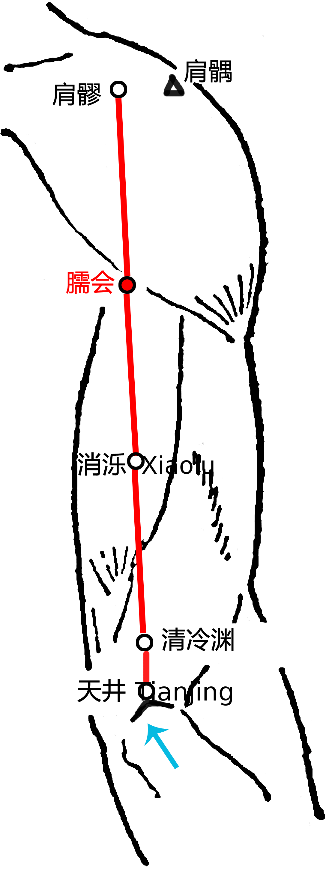 消泺·图示
