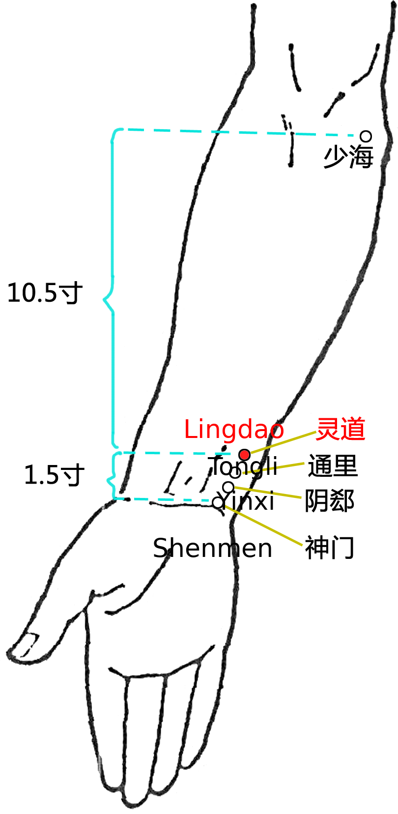 灵道·图示