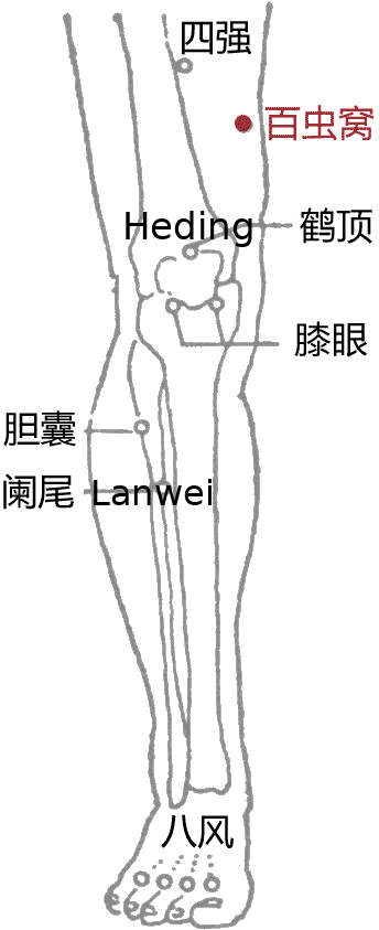 百虫窝·图示