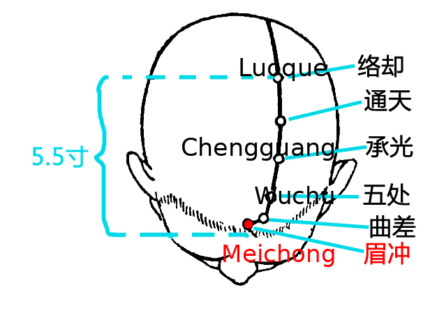 眉冲·图示