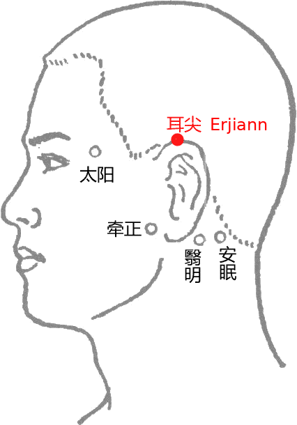 耳尖·图示