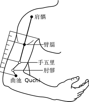 肘髎·图示