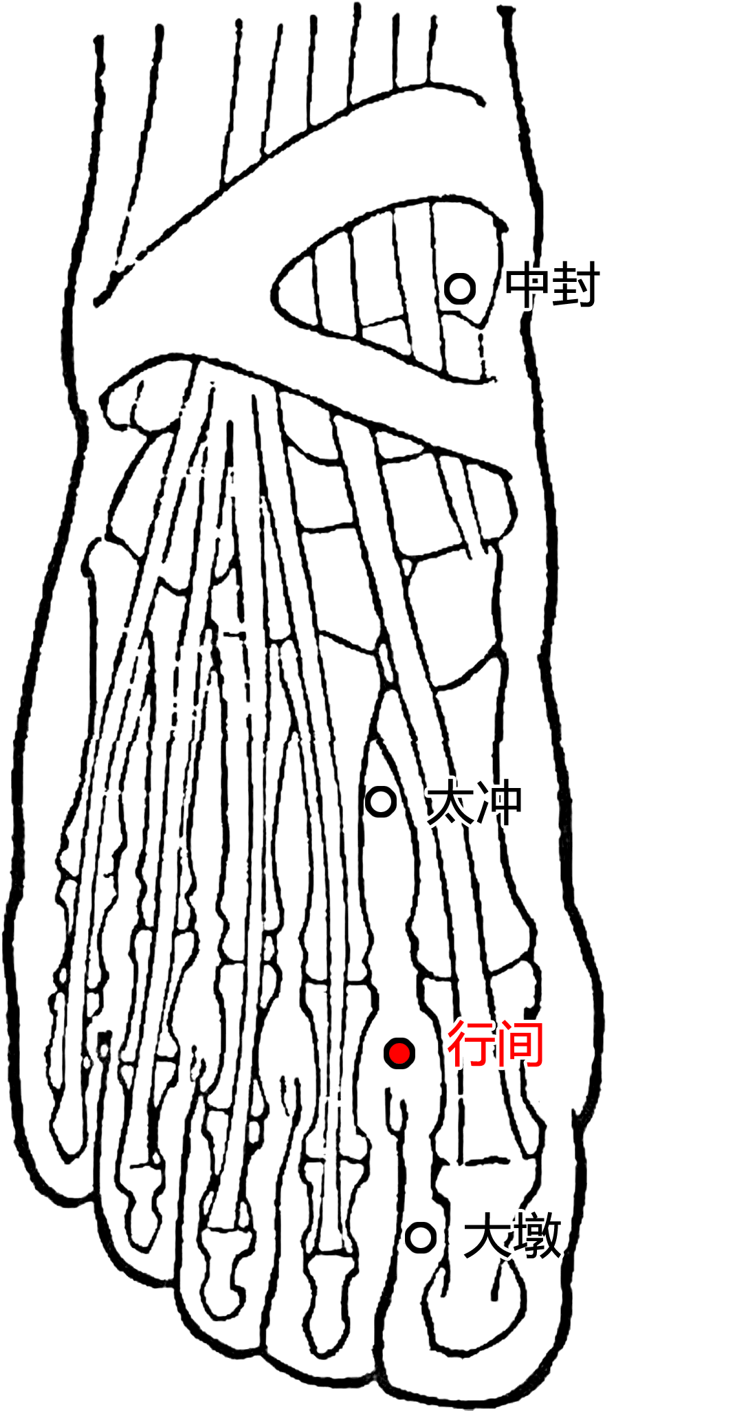 行间·图示