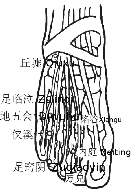 足窍阴·图示