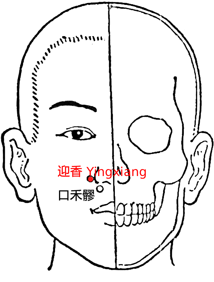 迎香·图示