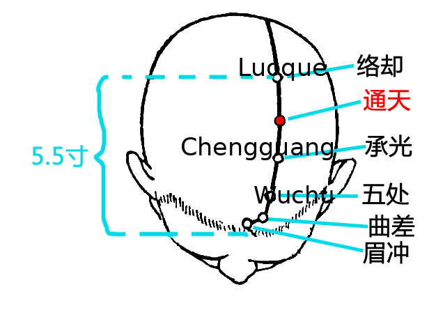 通天·图示
