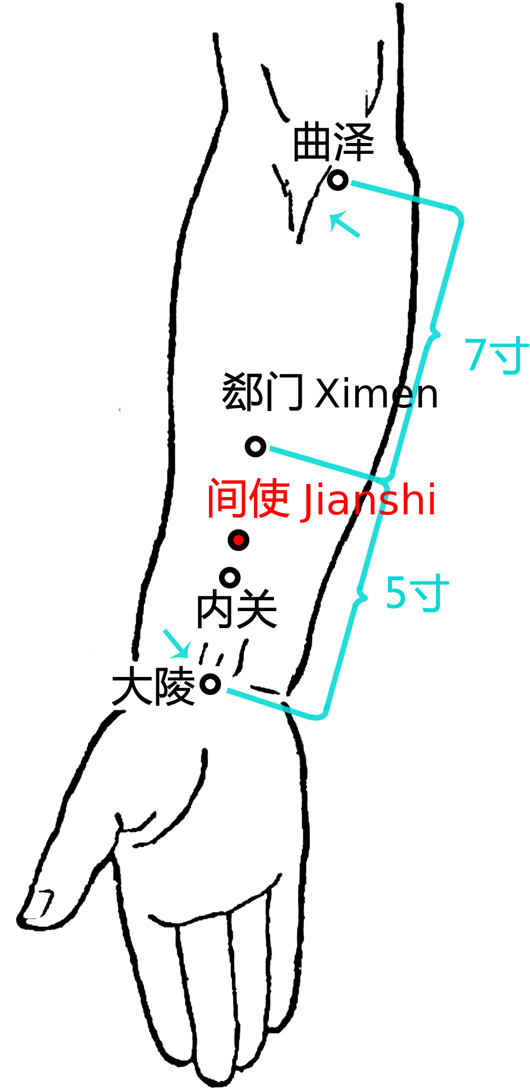 间使·图示