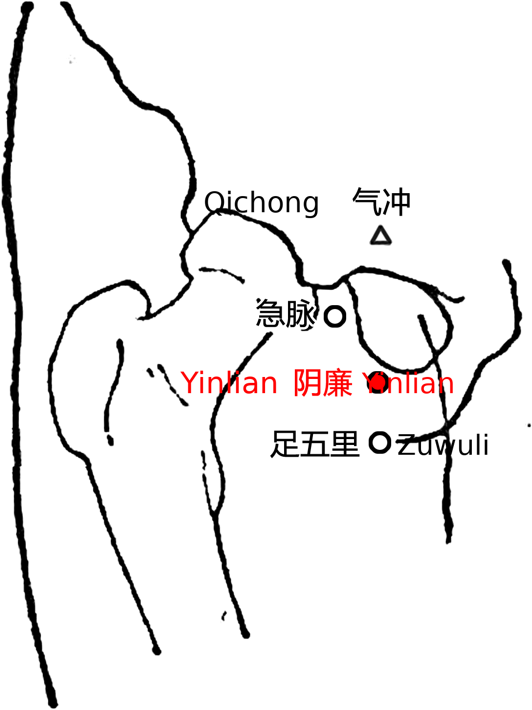 阴廉·图示