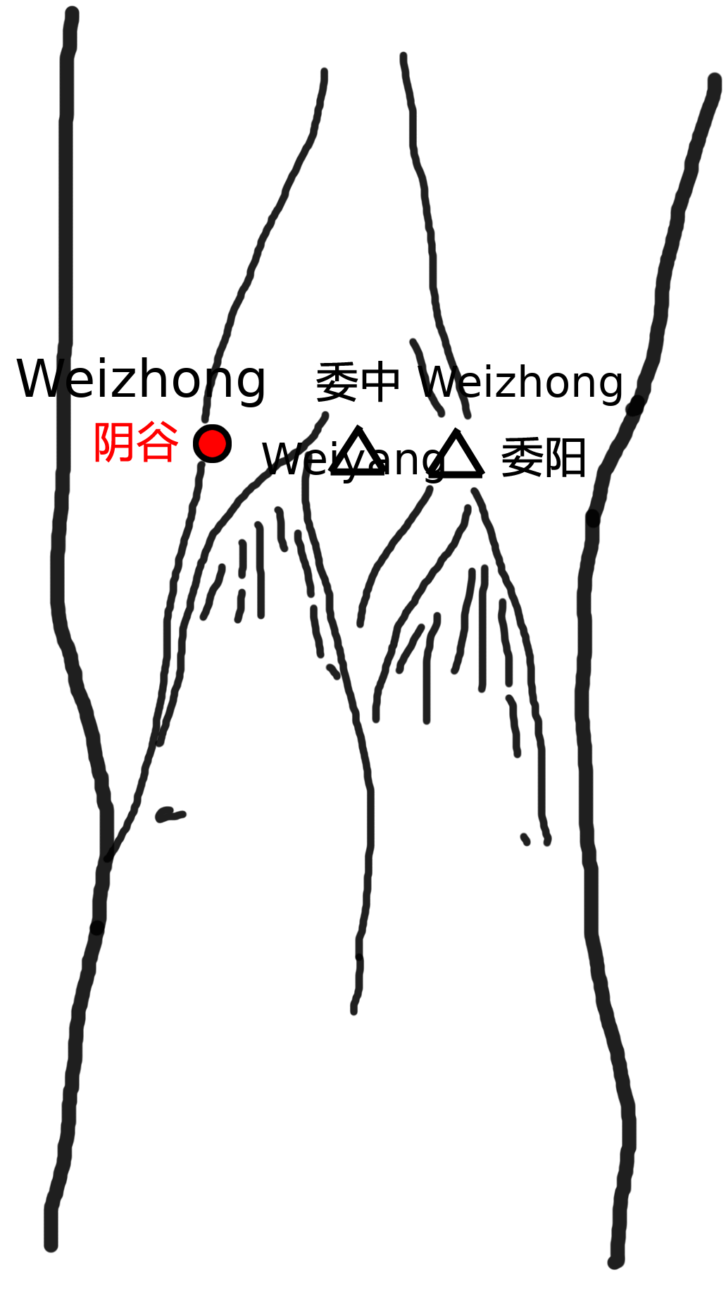 阴谷·图示