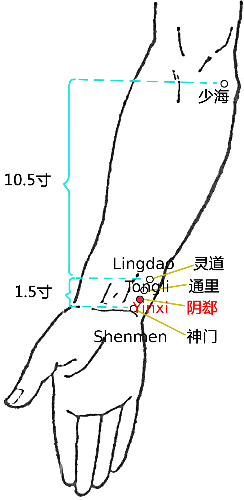 阴郄·图示