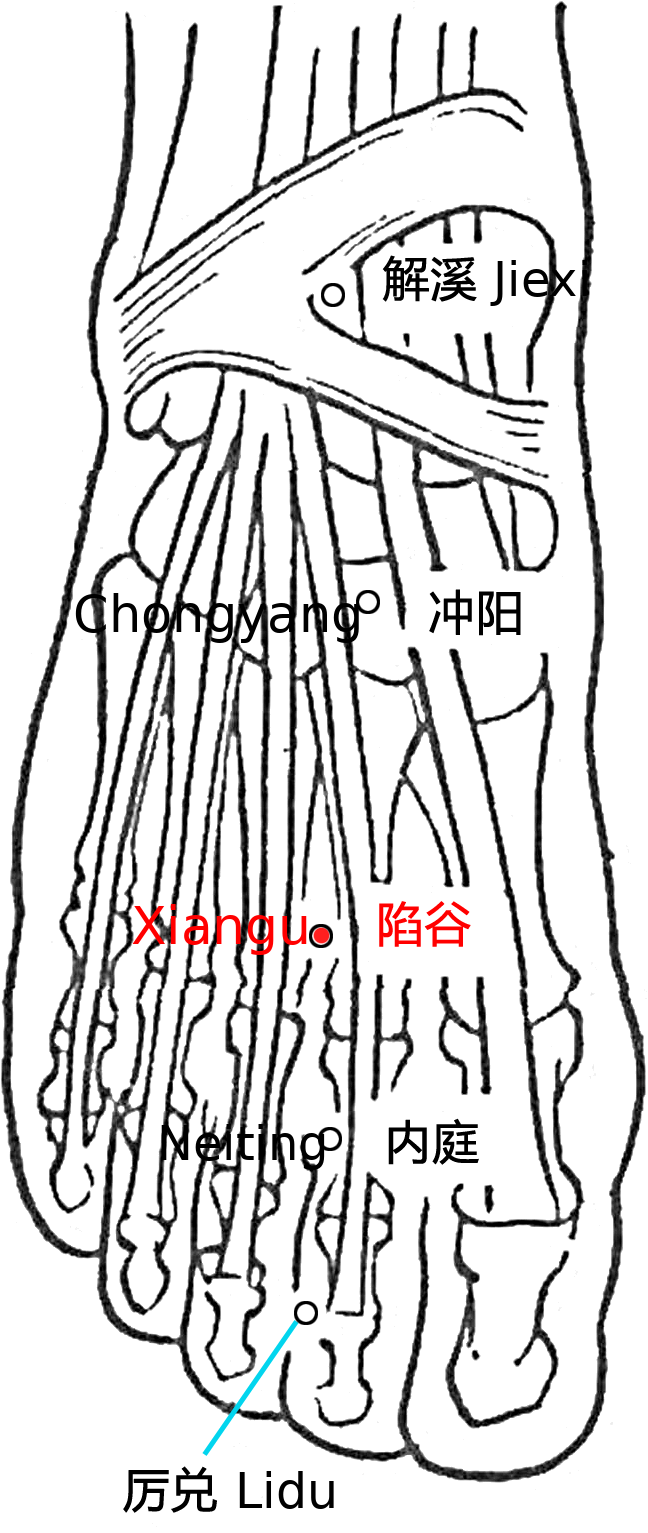 陷谷·图示