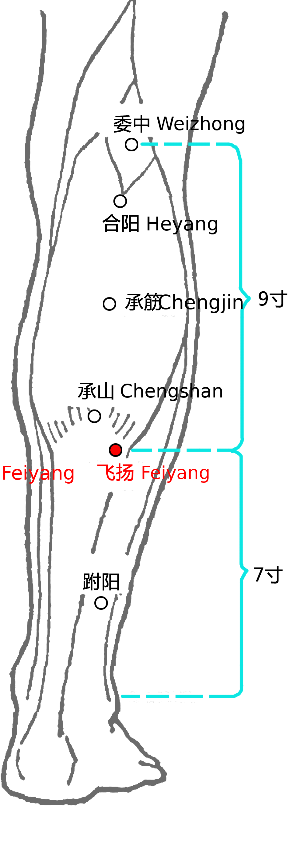 飞扬·图示