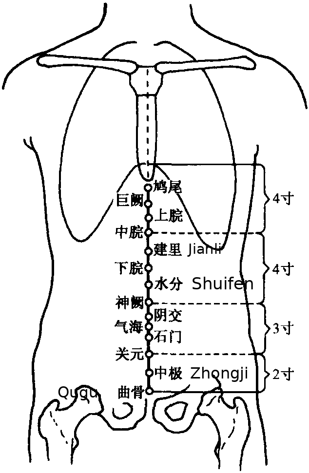 鸠尾·图示
