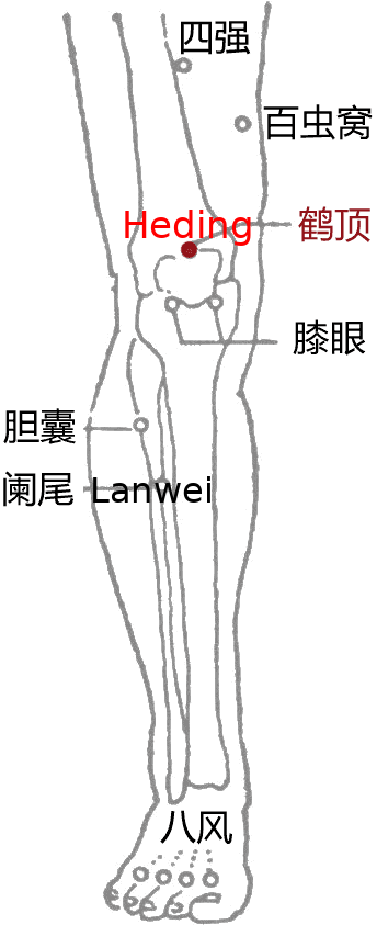 鹤顶·图示
